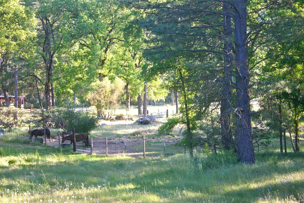 Villa Little Red Caboose à Oakhurst Extérieur photo